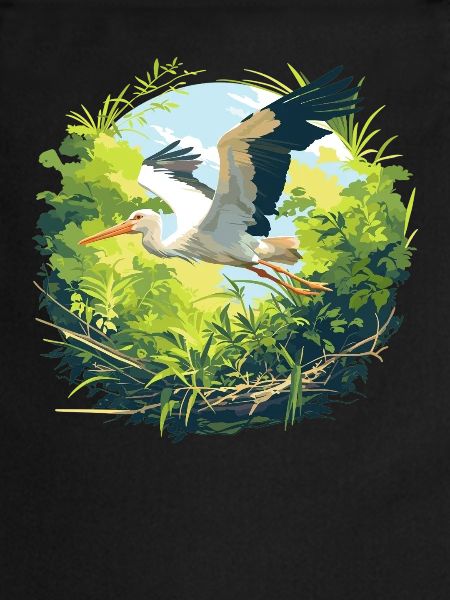 Storks Stork