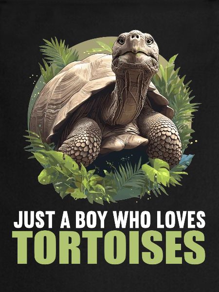 Tortues Tortue