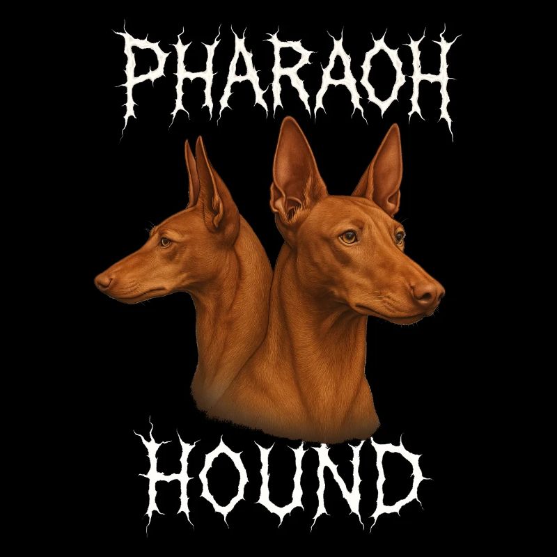 Chien du Pharaon