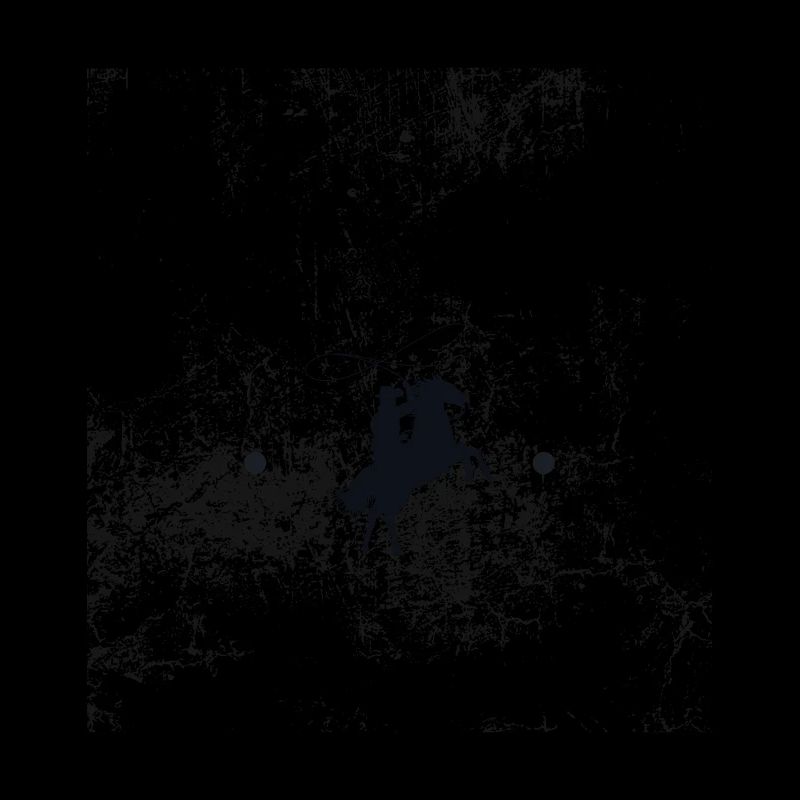 Lasso, Rodéo, Cheval