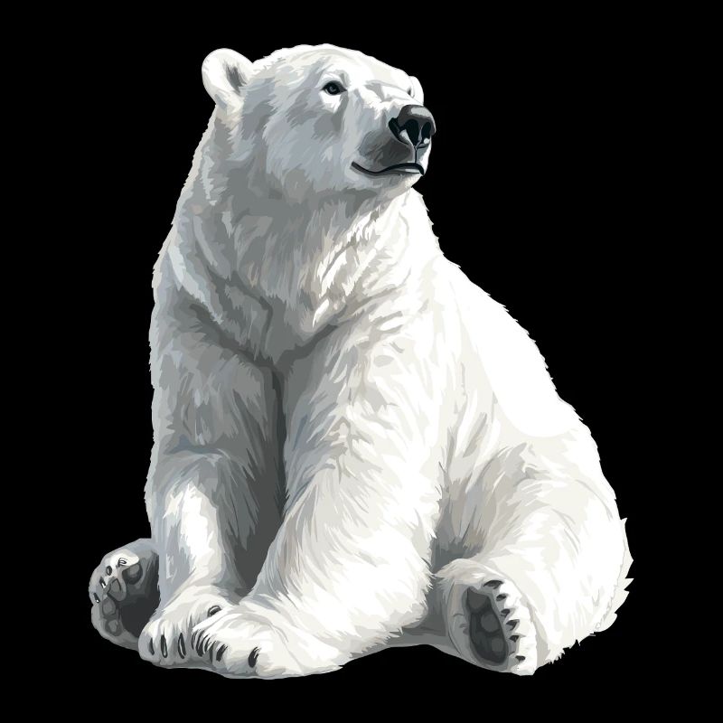 Polar Bär Illustration Eislicht