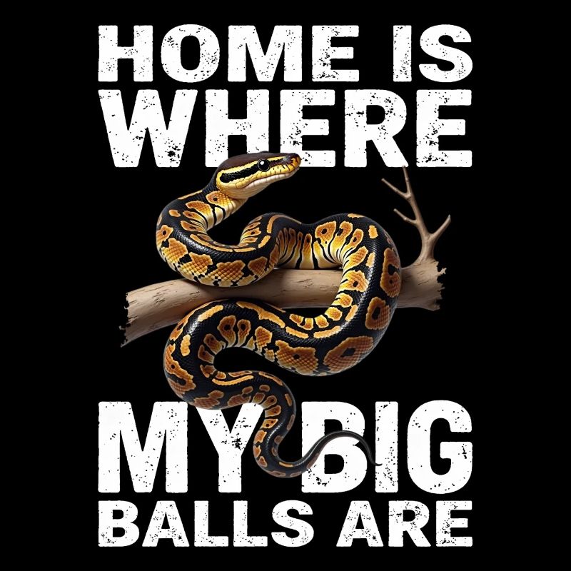 Königspython Schlangen Liebhaber Terrarium Python