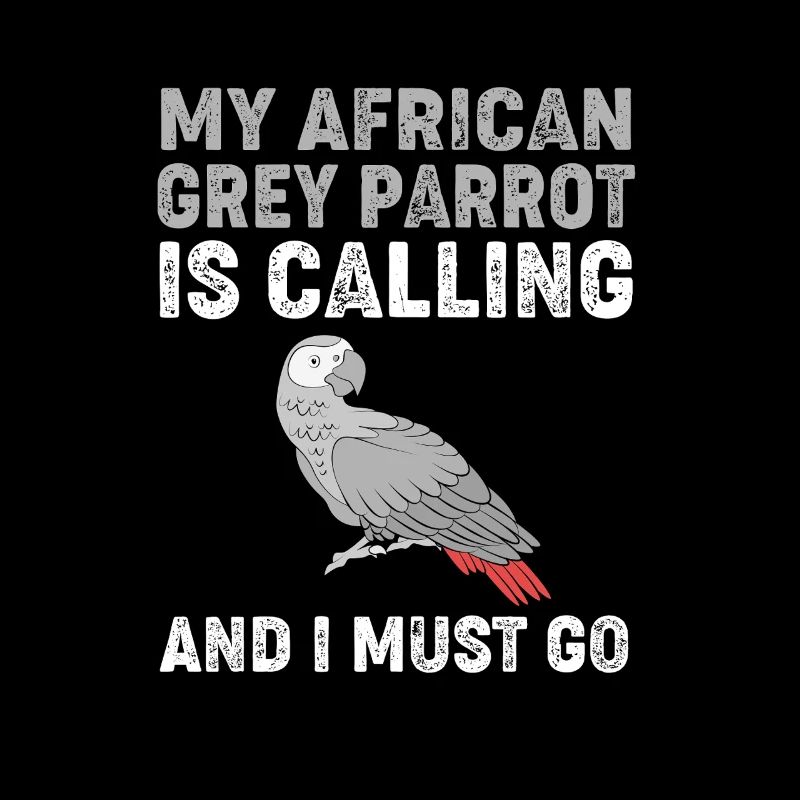 Papagei Grau Graupapagei