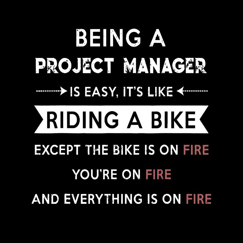 Projektleiter im Feuer