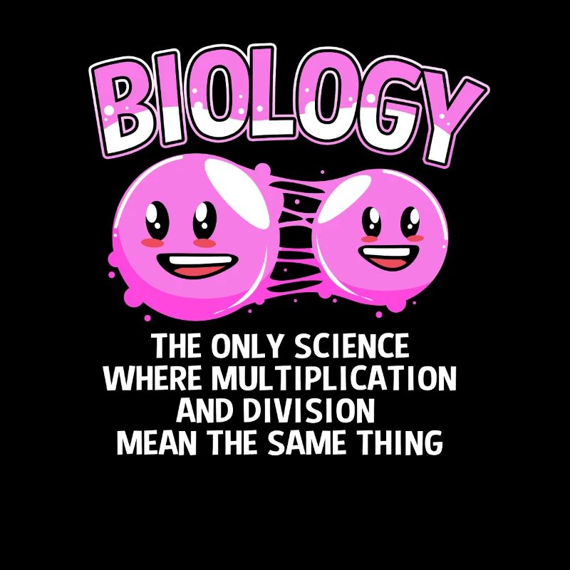 Molekül Strukturformel