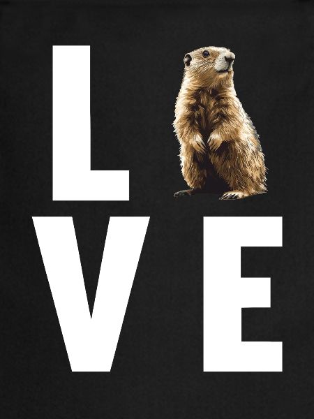 Marmottes Marmotte