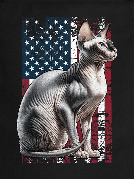 Sphynx Cat US Sphynxkatze
