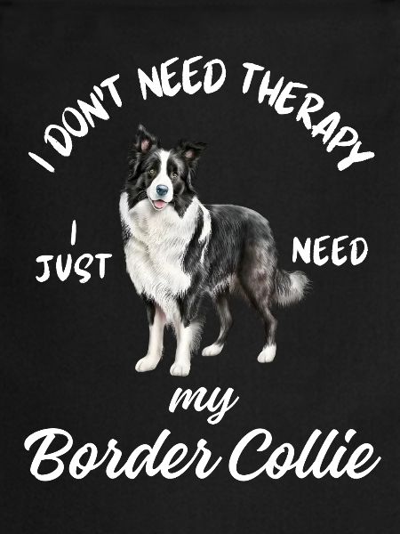 Thérapie Border Collie