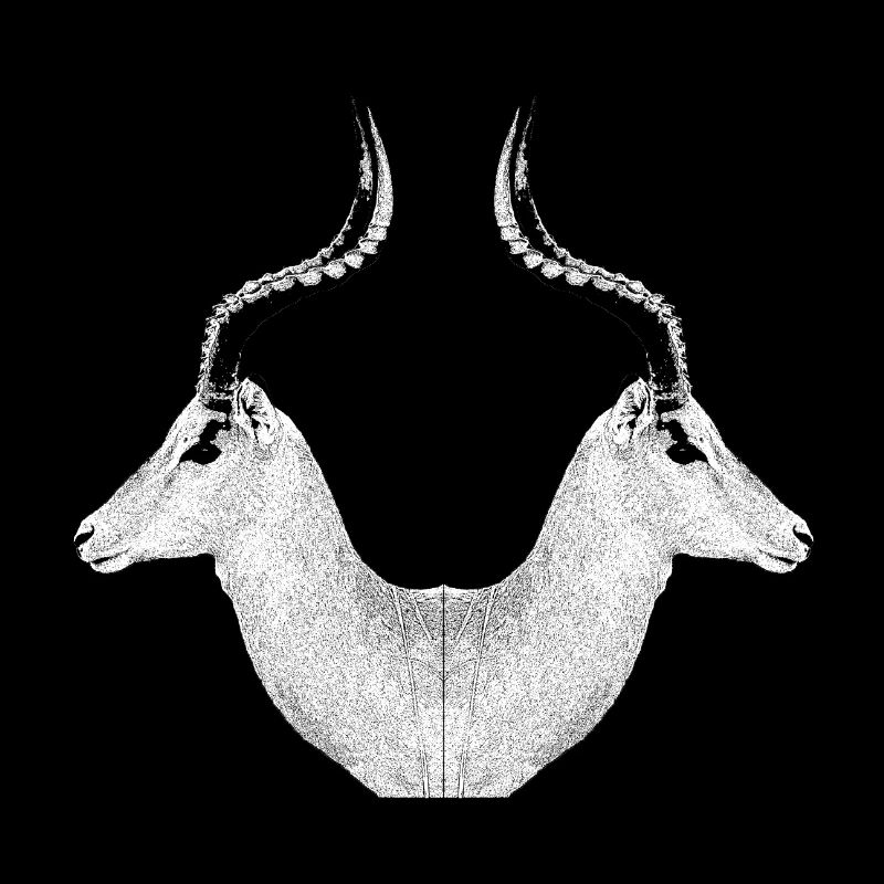 Impala
