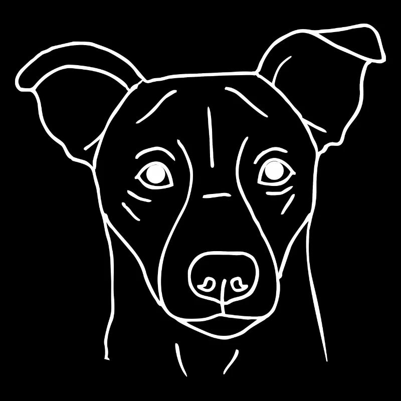 Jack Russell Terrier