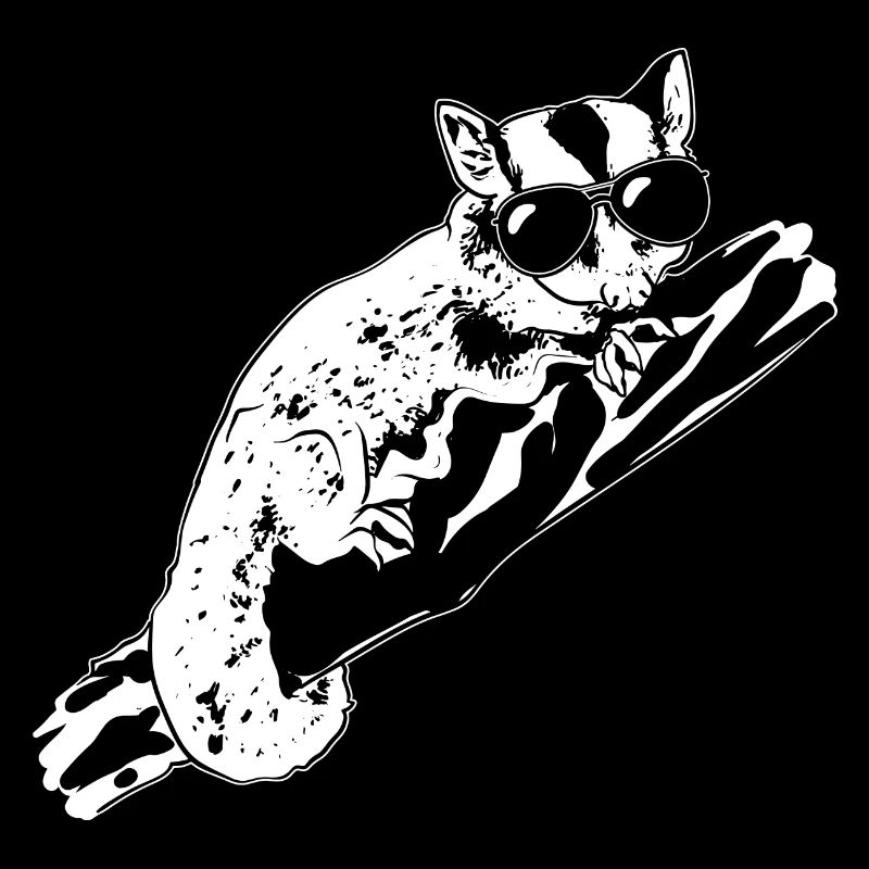 Kurzkopfgleitbeutler Sugar Glider