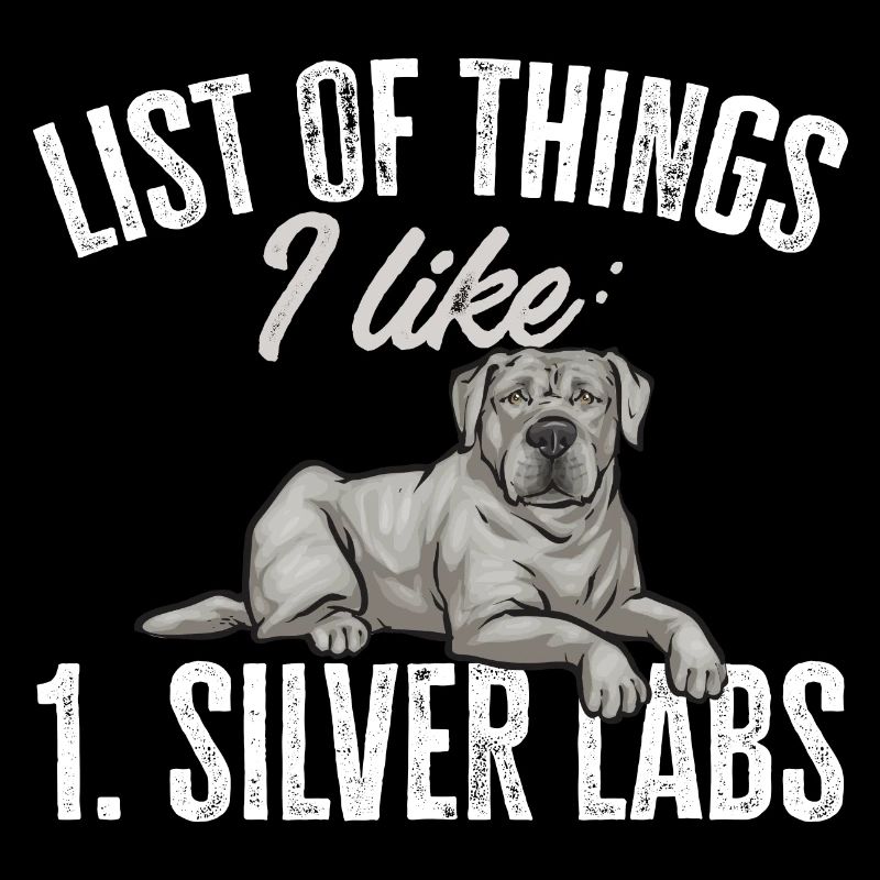 Silver Labrador Retriever Silver Lab