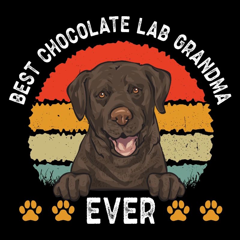 Chien Labrador Retriever brun chocolat