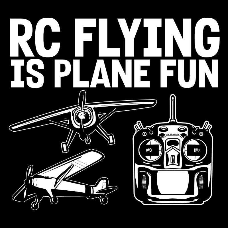 Remote Controlled Airplane Model Airplane