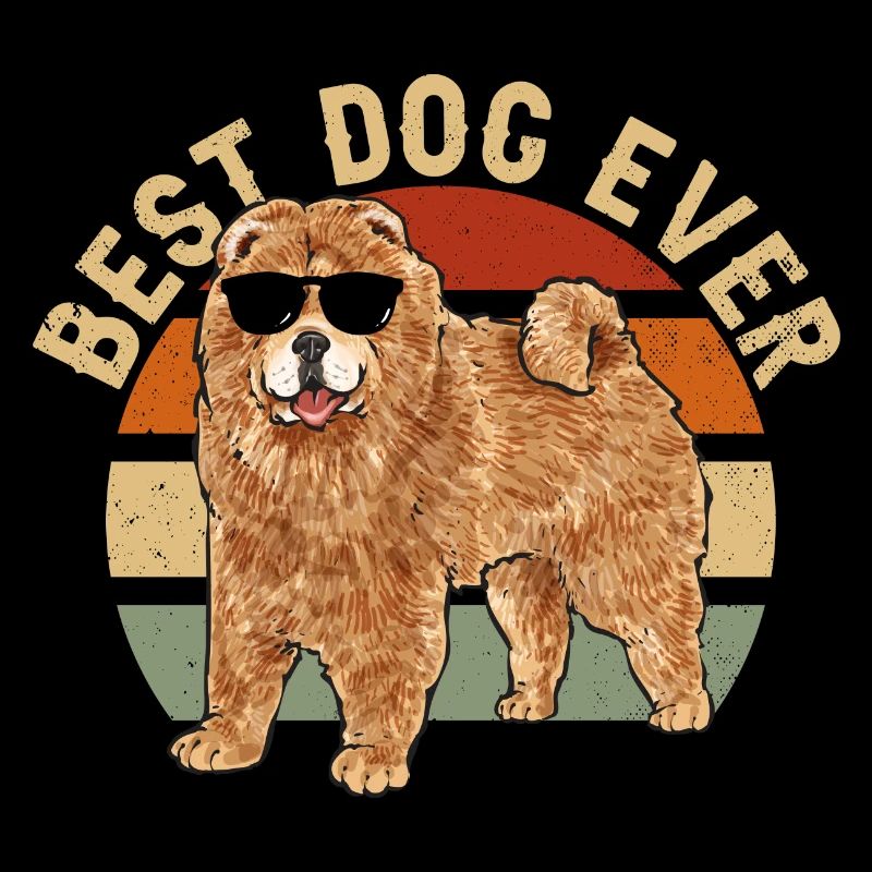 Chow Chow Dog