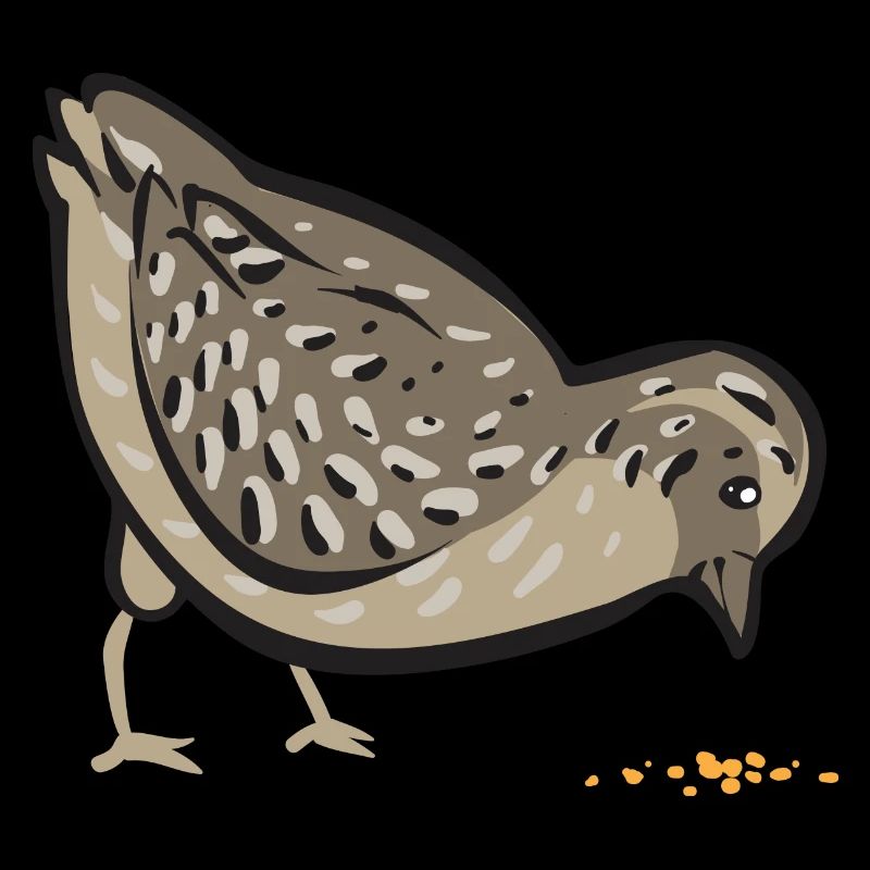 Oiseau de caille