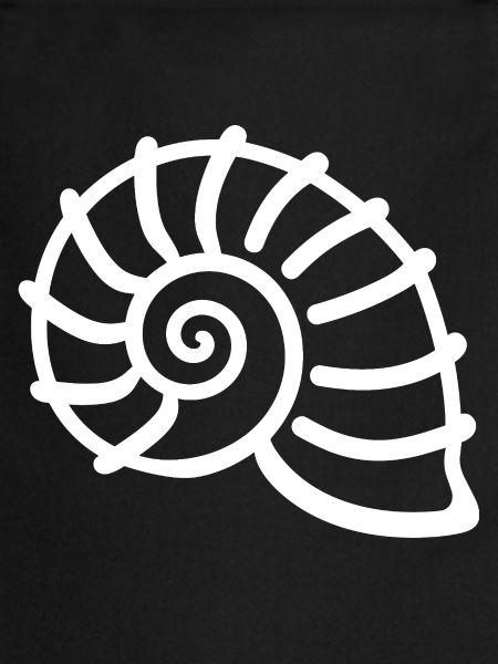 coquillage
