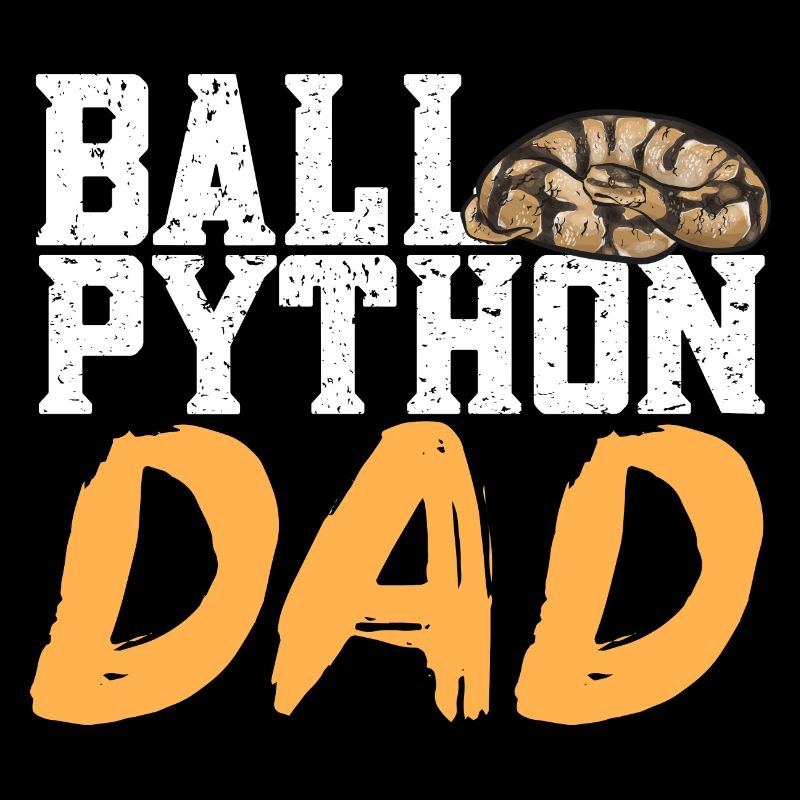 Ball Python Schlange Königspython