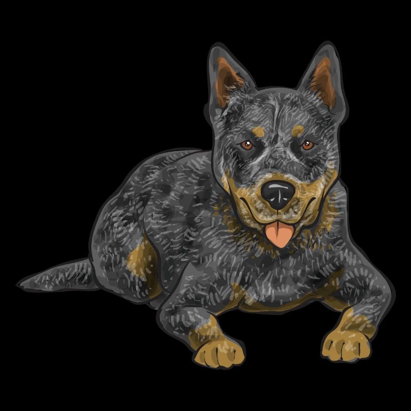 Bouvier australien Red Blue Heeler