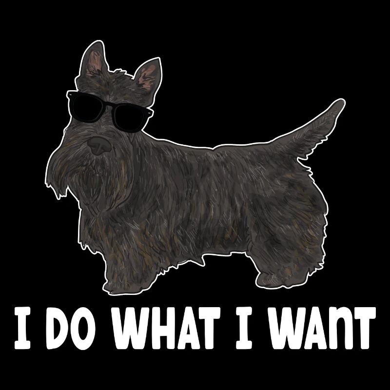 Terrier écossais Scottie Chien