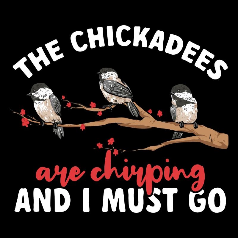 Meise Vogel Chickadee Vogelbeobachtung