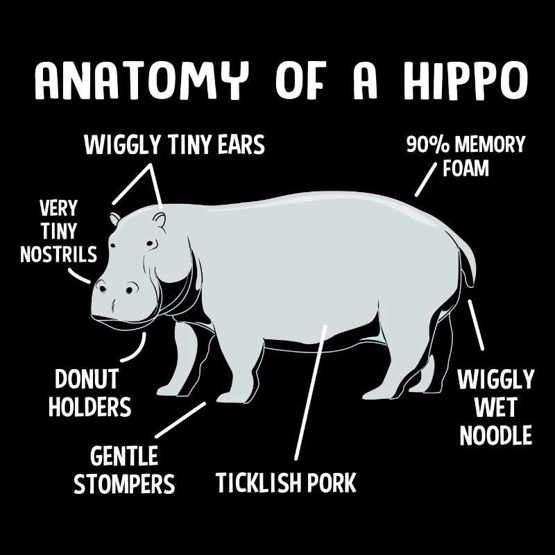 Hippopotamus