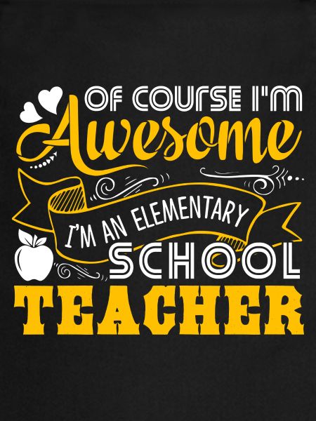 Elementary School Teacher