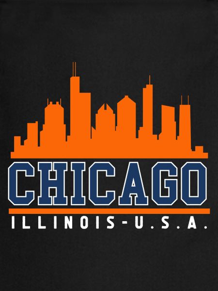 Chicago Illinois Skyline