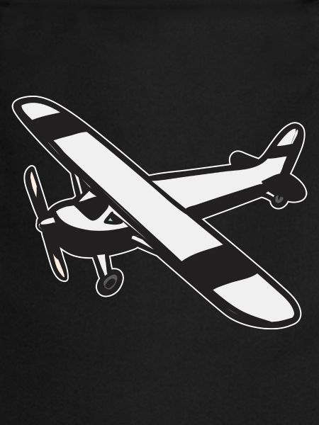 Modèle d’avion télécommandé