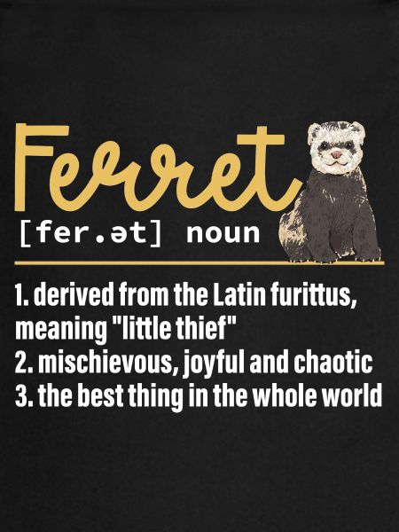 Furet, propriétaire de furet