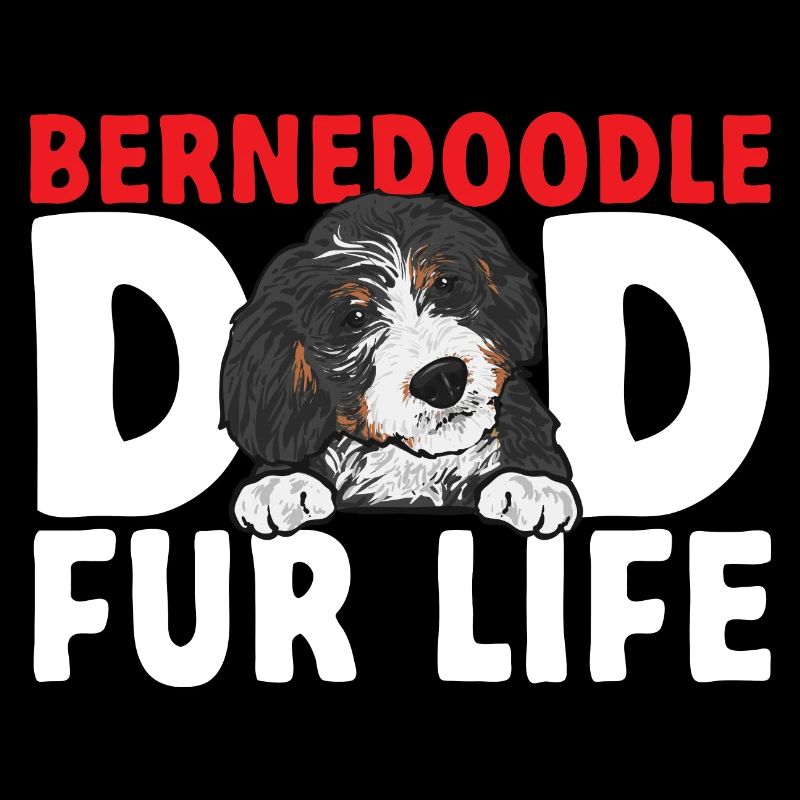 Chien Bernedoodle