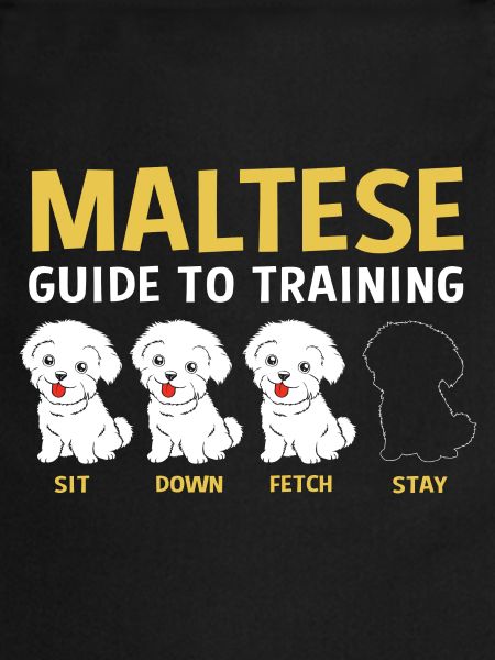 Chien maltais