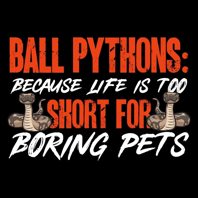 Ball Python Schlange Königspython