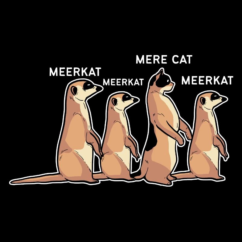 Meerkat