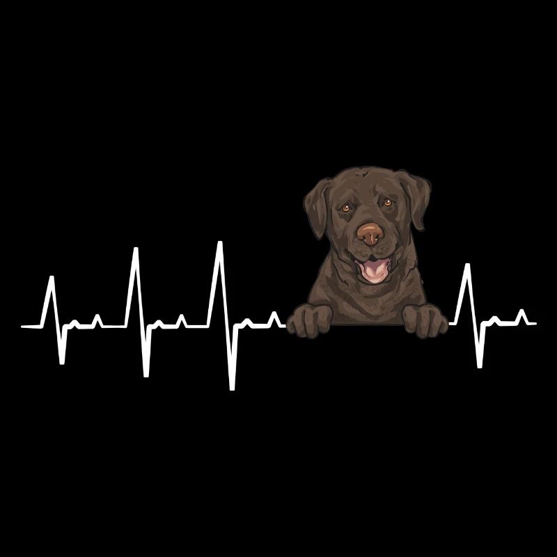 Chien Labrador Retriever chocolat