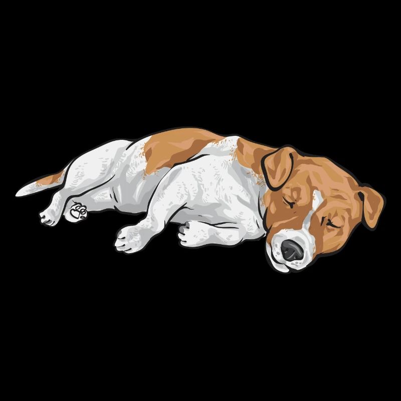 Jack Russell Terrier