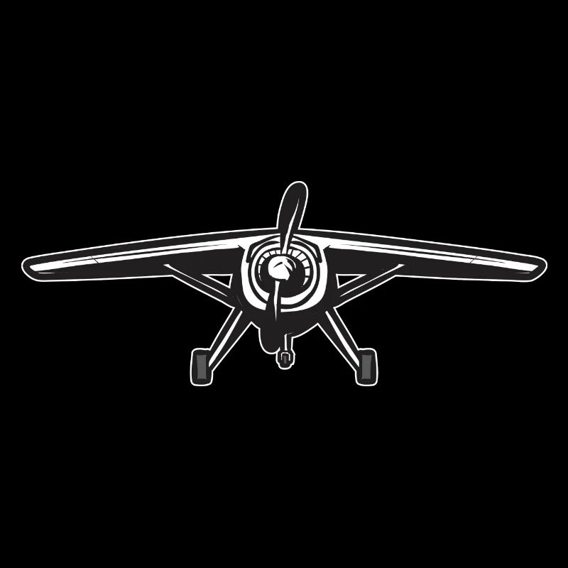 Remote Controlled Airplane Model Airplane