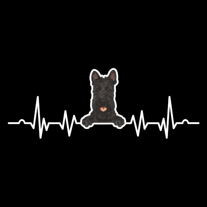 Scottish Terrier Scottie Hund