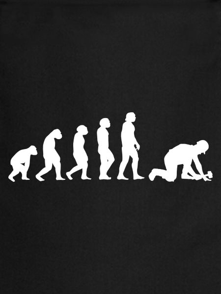 Evolution Pflasterer