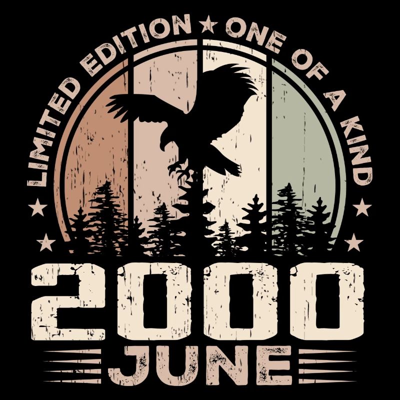 Unvergleichlich seit Juni 2000, 24-jähriges Jubiläum