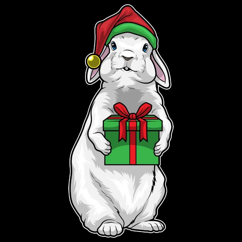 Bunny Christmas Package