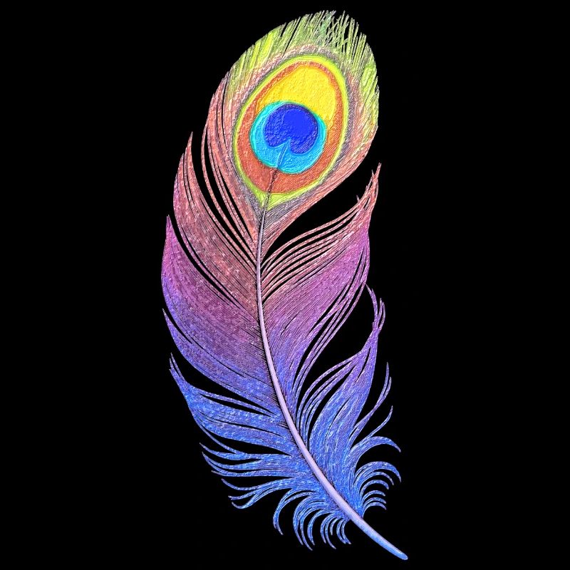 Rainbow Feather: Style and Creativity on Your T-Sh