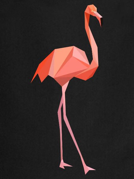 flamant rose