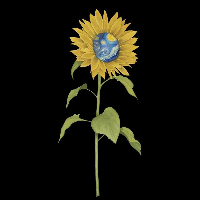 Sonnenblume