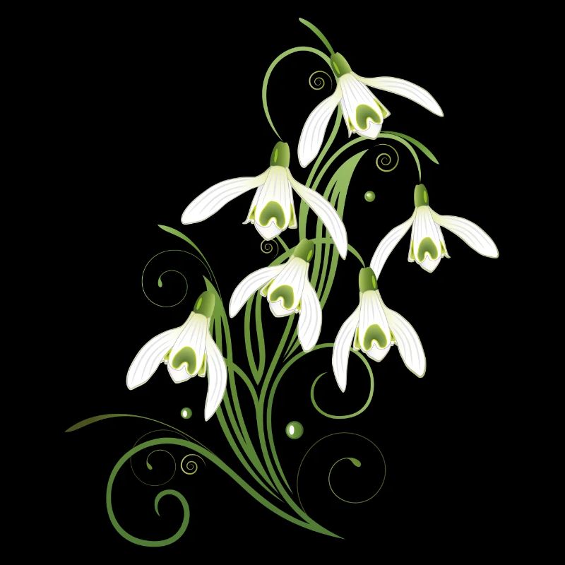 Fleurs de perce-neige. Le printemps arrive.