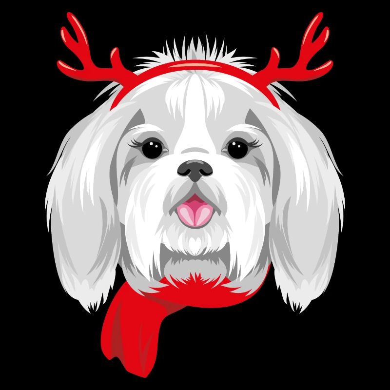 Hübsche Shih Tzu trägt Weihnachtshörner
