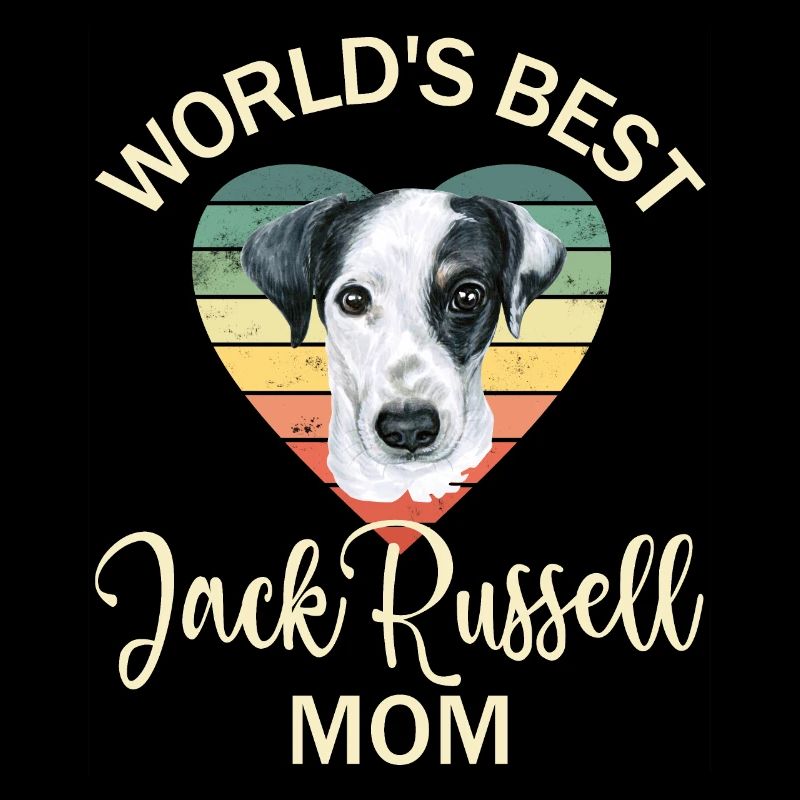 Chien Jack Russell Terrier