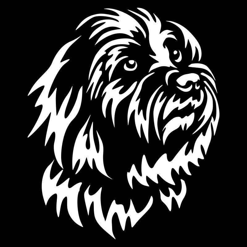 Coton de Tuléar Head « Black Edition »