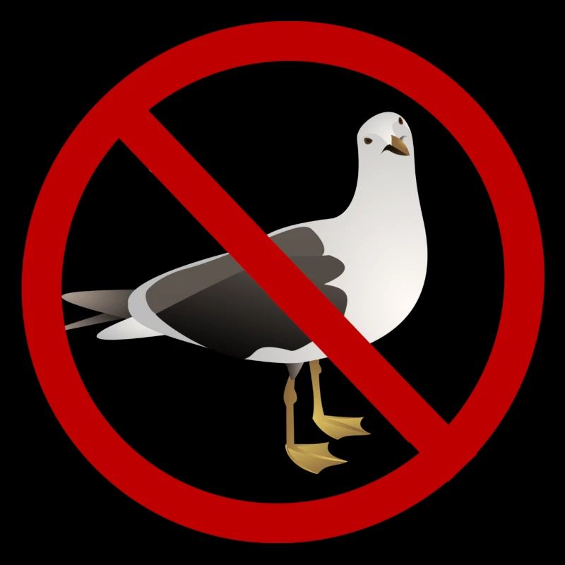I Hate Seagulls