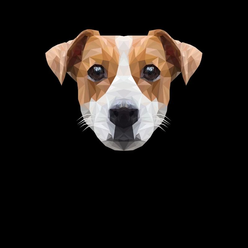 Polygon JRT Vierbeiner Hund Jack Russell Terrier